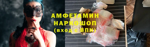 прущие грибы Михайловск