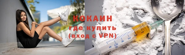 прущие грибы Михайловск