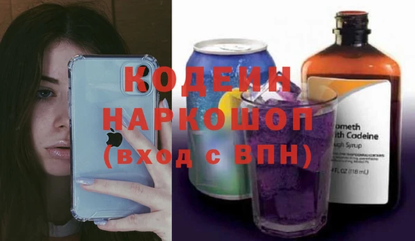 прущие грибы Михайловск