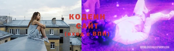 гидра Ахтубинск