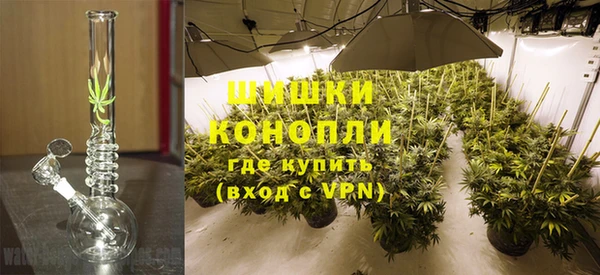 прущие грибы Михайловск