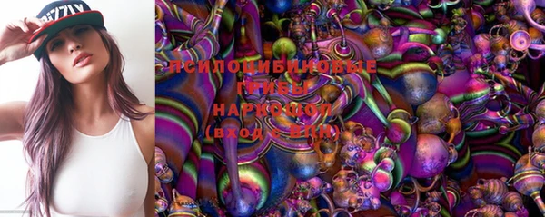 прущие грибы Михайловск