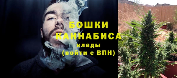 прущие грибы Михайловск