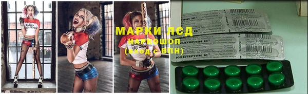 прущие грибы Михайловск