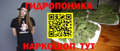 шишки Беслан