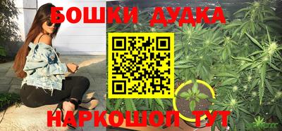 бошки Бийск