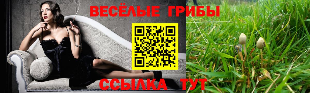 Псилоцибиновые грибы Psilocybe  Галлюциногенные грибы прущие грибы  Всеволожск 