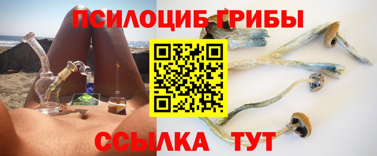 Всеволожск  Псилоцибиновые грибы Psilocybine cubensis  Вход с VPN 